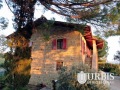 DJI_0922