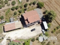 DJI_0717