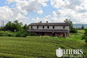 DJI_0088