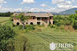 DJI_0096.000