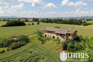 DJI_0098-1