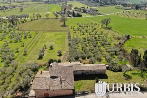 DJI_0016