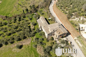 DJI_0017