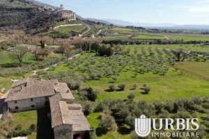 DJI_0034