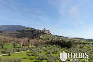 DJI_0045