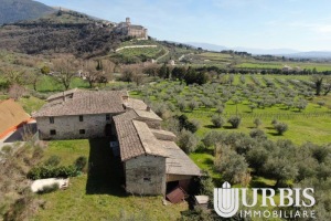 DJI_0047