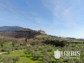 DJI_0045