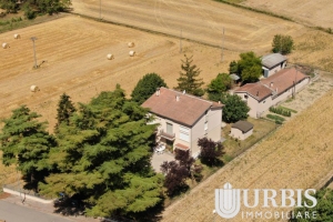 DJI_0677