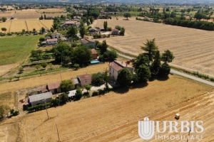 DJI_0685