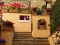 cortile dopo.jpg