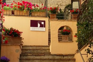 cortile dopo.jpg