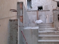 cortile.jpg