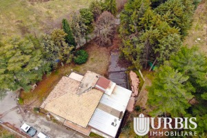 DJI_0977