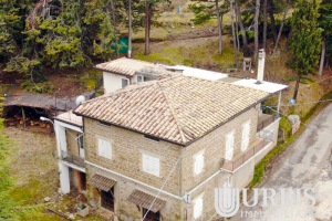 DJI_0982