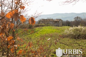 IMG_1565_LR