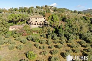 1_DJI_01785