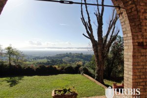 DJI_0169